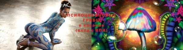 ешки Балахна