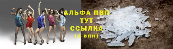 прущие крисы Баксан